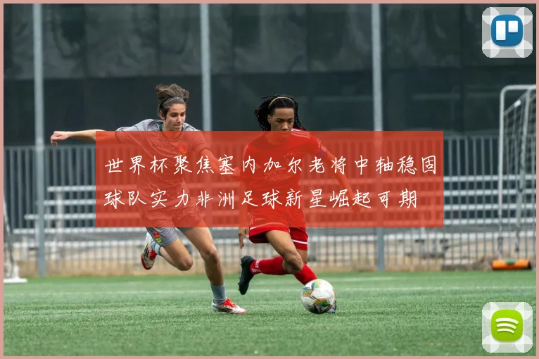 世界杯聚焦塞内加尔老将中轴稳固球队实力非洲足球新星崛起可期