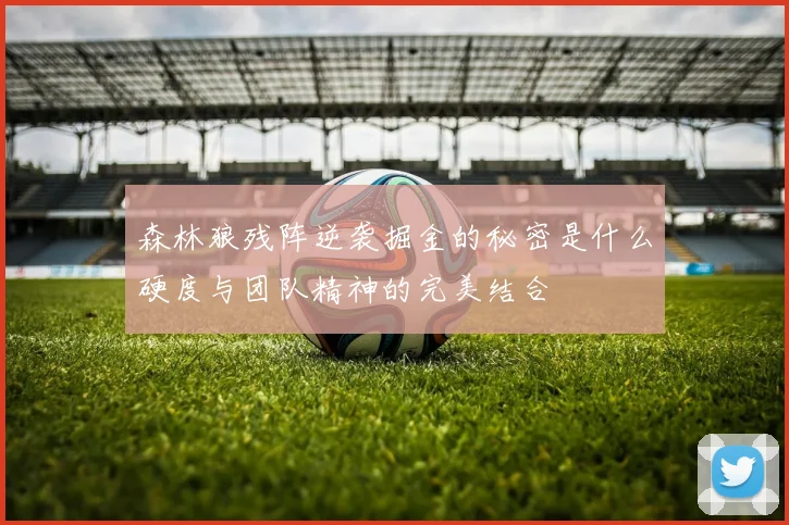 森林狼残阵逆袭掘金的秘密是什么硬度与团队精神的完美结合